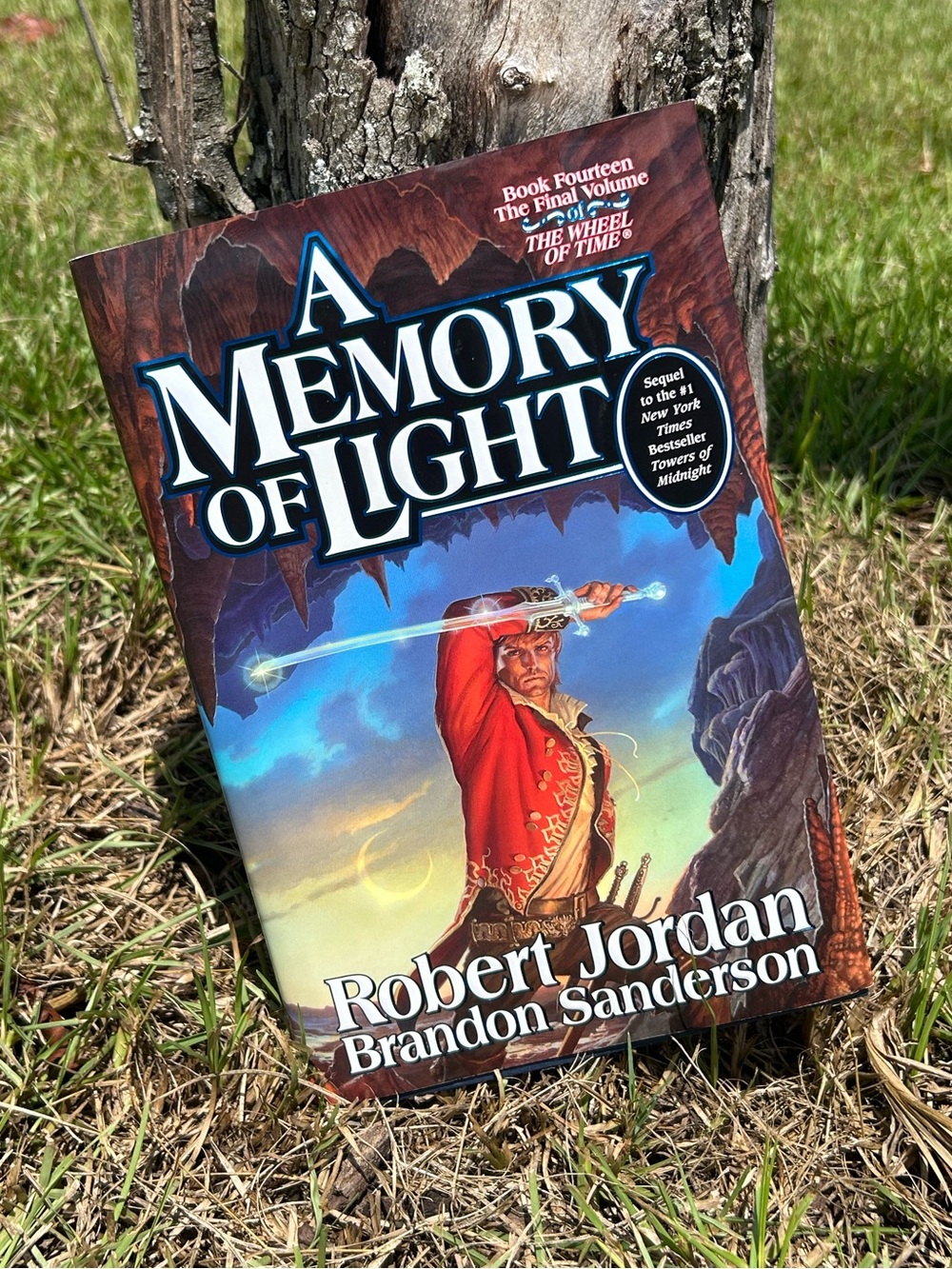 A Memory of Light Wheel of Time #14 Robert Jordan Brandon Sanderson Fantasy Book